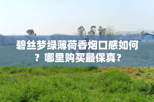 碧丝梦绿薄荷香烟口感如何？哪里购买最保真？